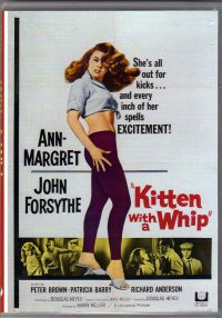 Kitten With a Whip (1964)